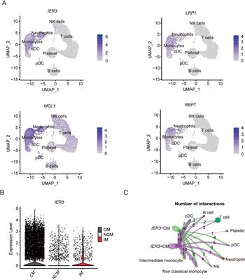 Integrating transcriptomics, eQTL, and Mendelian randomization to dissect monocyte roles in severe COVID-19 and gout flare